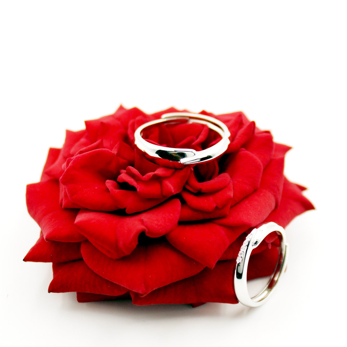 Interwind Love Rings